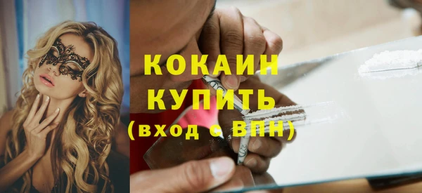 прущие грибы Волоколамск