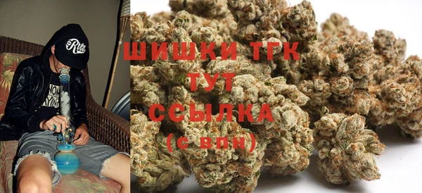 прущие грибы Волоколамск