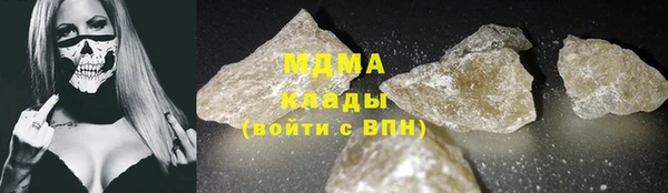 шишки Верея