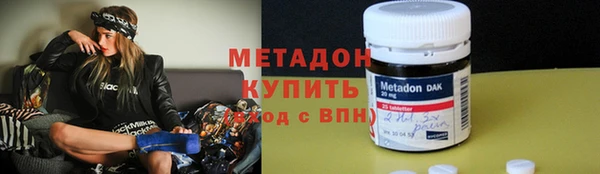 прущие грибы Волоколамск