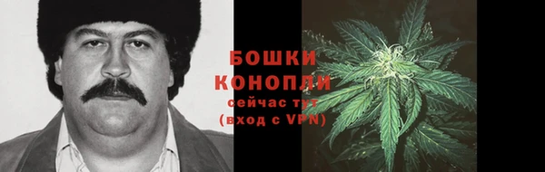 прущие грибы Волоколамск