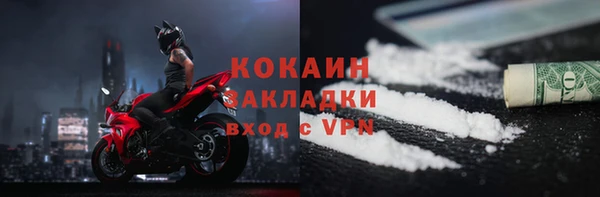 прущие грибы Волоколамск