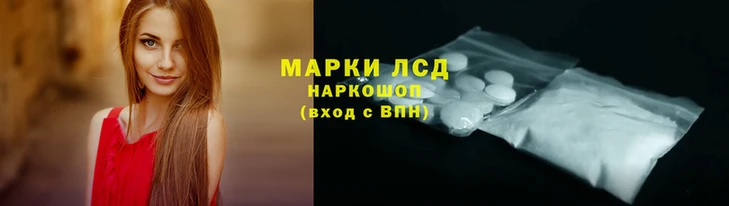 прущие грибы Волоколамск