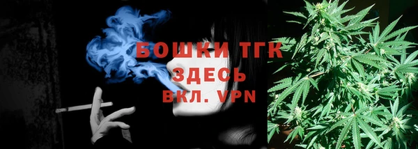 прущие грибы Волоколамск