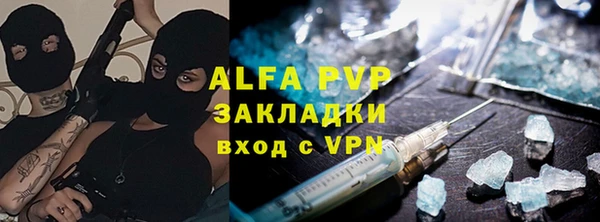 прущие грибы Волоколамск