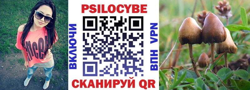 Галлюциногенные грибы прущие грибы  Любим 